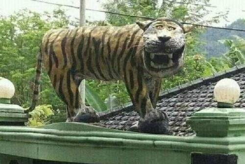 印尼网红表情图片,趣味横生的文化缩影