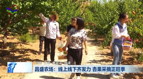 柳林县网红,揭秘山西小城的网络魅力