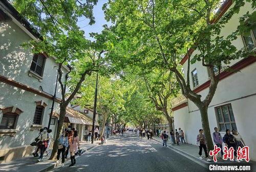 上海徐汇区网红拍照地方,打卡网红拍照圣地