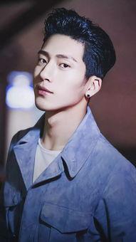 n男明星,揭秘n位闪耀男明星的璀璨人生