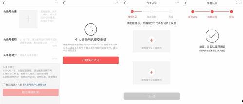 头条号注册官网流程,头条号注册官网流程详解