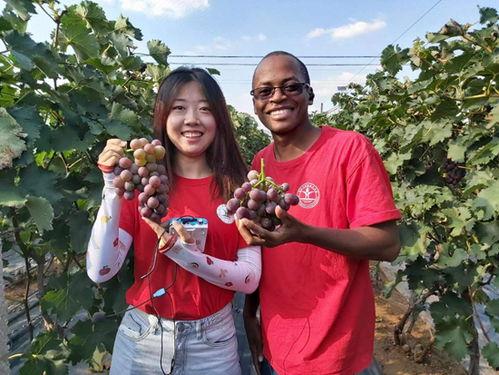 非洲留学生拍摄网红照,异域风情与时尚潮流的完美融合