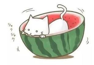 看球吃瓜文案搞笑,瓜田笑果，一场笑料百出的看球盛宴！