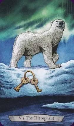 今日头条青岛神兽,探寻神秘生物的传奇故事