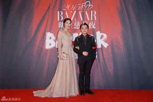 芭莎明星慈善夜2015,星光熠熠，爱心闪耀公益之夜