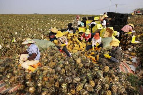 湄潭山货上头条