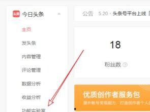 加入头条需要的条件是,必备条件一览