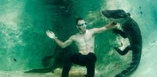 吃瓜鳄鱼在跳舞图片