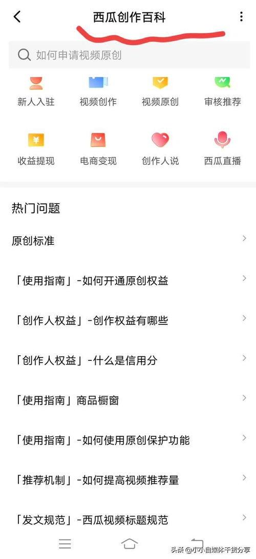 为什么头条审核时间长,深度解析审核流程背后的秘密