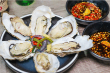 高压锅生蚝网红店,颠覆传统烹饪，美味与时尚并存