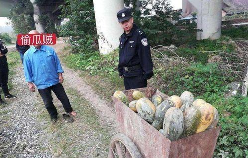 最近长垣吃瓜新闻事件